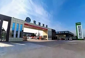 财神到app官方下载