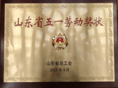 喜报丨热烈庆祝天意机械荣获“山东省五一劳动奖状”